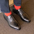 Longwing Blucher 3