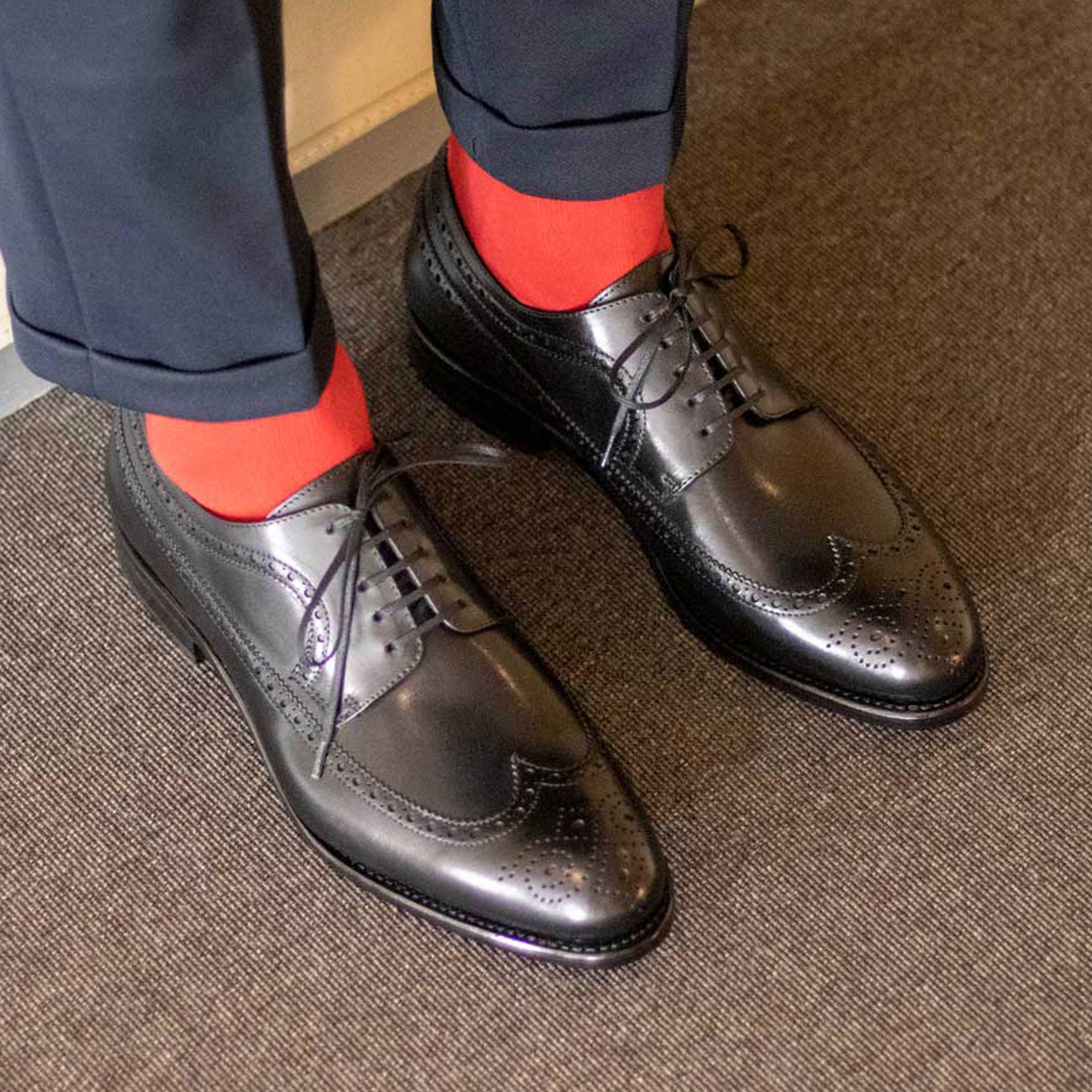 Longwing Blucher 3