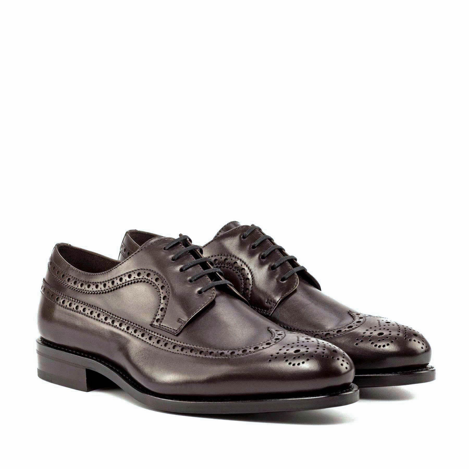 Longwing Blucher 2